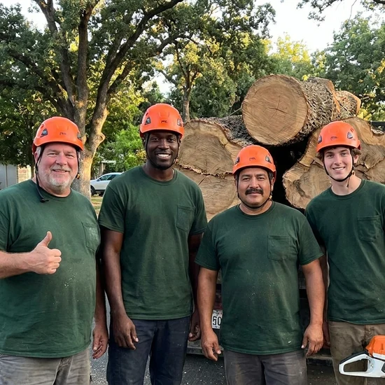 3D Tree tree crew with a truck loaded with oak logs in Los Angeles